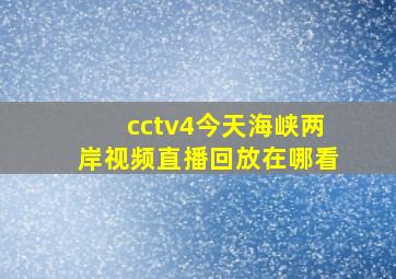 cctv4今天海峡两岸视频直播回放在哪看