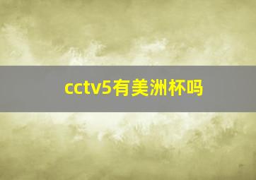 cctv5有美洲杯吗