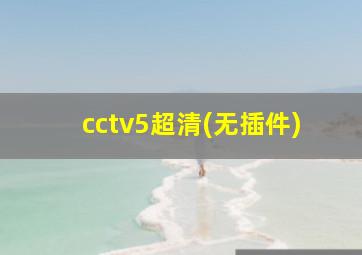 cctv5超清(无插件)