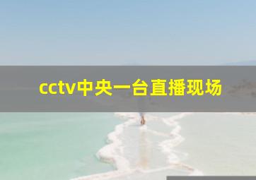 cctv中央一台直播现场