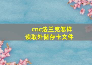 cnc法兰克怎样读取外储存卡文件