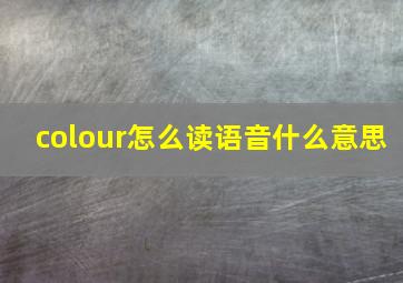 colour怎么读语音什么意思