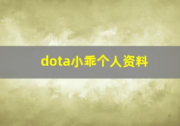 dota小乖个人资料