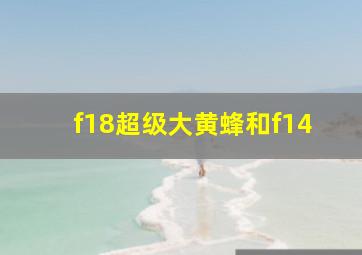 f18超级大黄蜂和f14