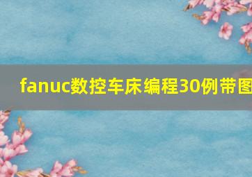 fanuc数控车床编程30例带图