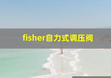 fisher自力式调压阀