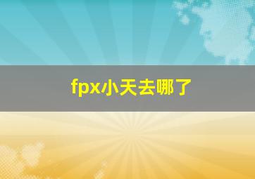 fpx小天去哪了