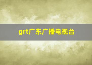 grt广东广播电视台