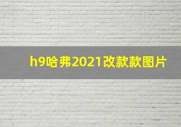 h9哈弗2021改款款图片