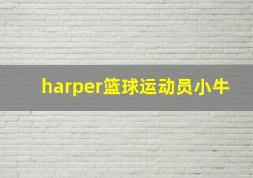 harper篮球运动员小牛