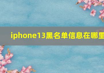 iphone13黑名单信息在哪里