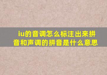 iu的音调怎么标注出来拼音和声调的拼音是什么意思