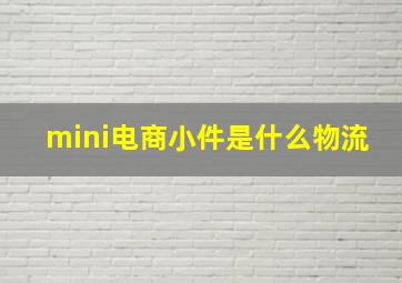 mini电商小件是什么物流