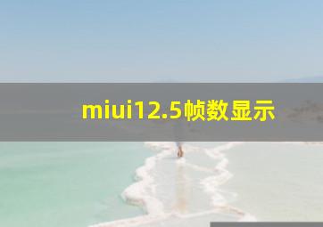 miui12.5帧数显示