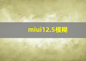 miui12.5模糊