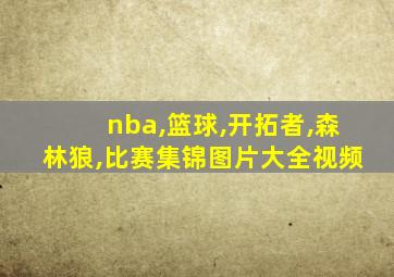 nba,篮球,开拓者,森林狼,比赛集锦图片大全视频