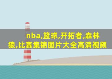 nba,篮球,开拓者,森林狼,比赛集锦图片大全高清视频