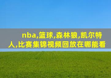 nba,篮球,森林狼,凯尔特人,比赛集锦视频回放在哪能看