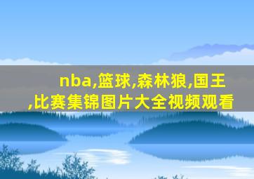 nba,篮球,森林狼,国王,比赛集锦图片大全视频观看