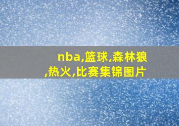 nba,篮球,森林狼,热火,比赛集锦图片