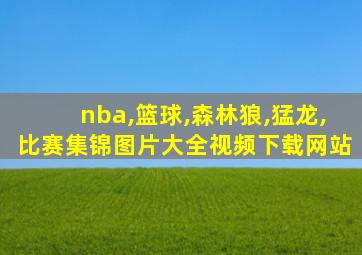 nba,篮球,森林狼,猛龙,比赛集锦图片大全视频下载网站