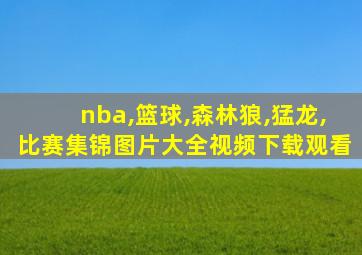 nba,篮球,森林狼,猛龙,比赛集锦图片大全视频下载观看