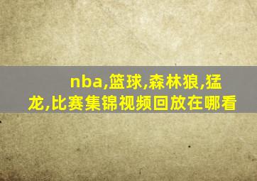 nba,篮球,森林狼,猛龙,比赛集锦视频回放在哪看