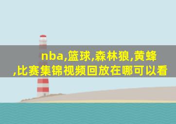 nba,篮球,森林狼,黄蜂,比赛集锦视频回放在哪可以看