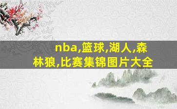 nba,篮球,湖人,森林狼,比赛集锦图片大全