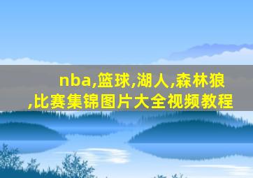 nba,篮球,湖人,森林狼,比赛集锦图片大全视频教程