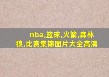 nba,篮球,火箭,森林狼,比赛集锦图片大全高清