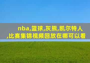 nba,篮球,灰熊,凯尔特人,比赛集锦视频回放在哪可以看