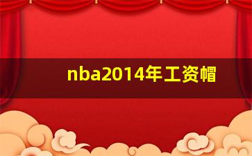 nba2014年工资帽