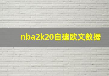 nba2k20自建欧文数据