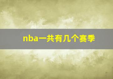 nba一共有几个赛季