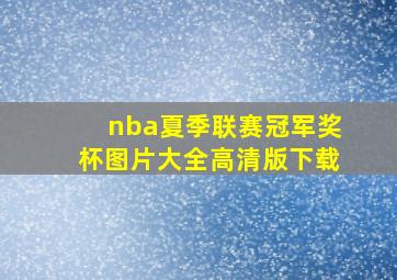 nba夏季联赛冠军奖杯图片大全高清版下载