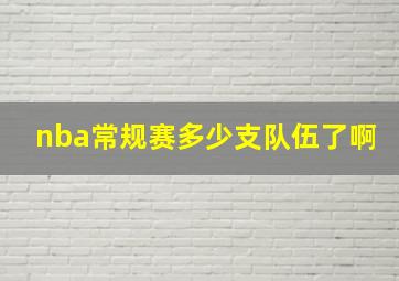 nba常规赛多少支队伍了啊