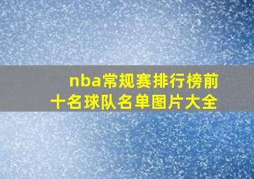 nba常规赛排行榜前十名球队名单图片大全