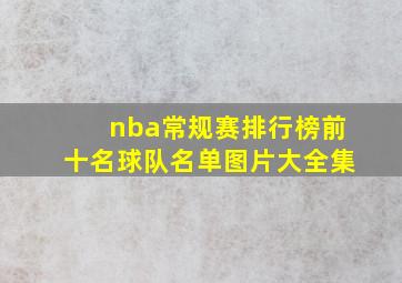 nba常规赛排行榜前十名球队名单图片大全集