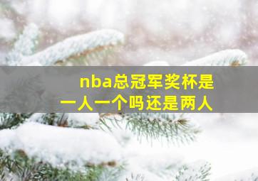 nba总冠军奖杯是一人一个吗还是两人