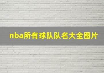 nba所有球队队名大全图片