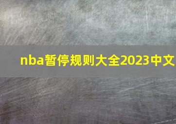 nba暂停规则大全2023中文