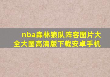 nba森林狼队阵容图片大全大图高清版下载安卓手机