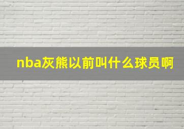 nba灰熊以前叫什么球员啊