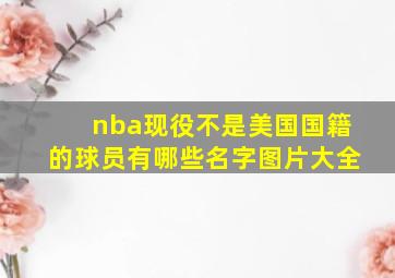 nba现役不是美国国籍的球员有哪些名字图片大全