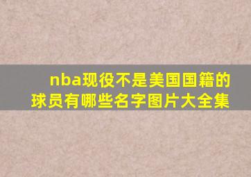 nba现役不是美国国籍的球员有哪些名字图片大全集