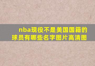 nba现役不是美国国籍的球员有哪些名字图片高清图