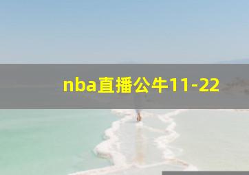 nba直播公牛11-22