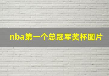 nba第一个总冠军奖杯图片