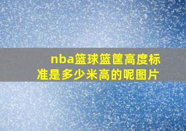 nba篮球篮筐高度标准是多少米高的呢图片